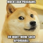 Doge likes government loan programs for home buyers