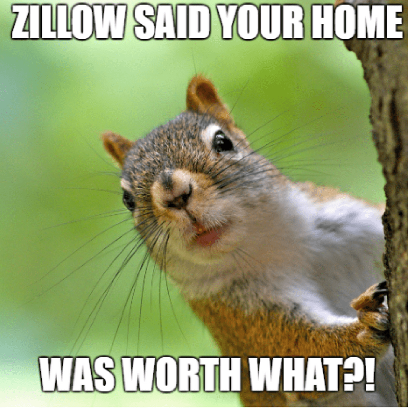 Squirrel surprised looking around tree real estate meme