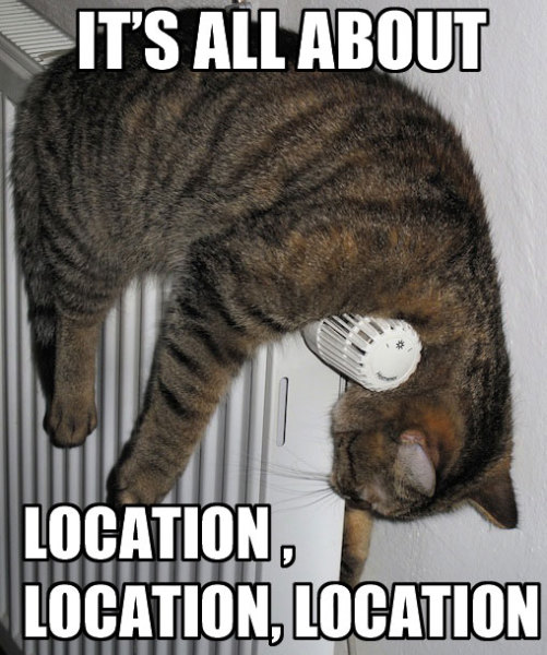 cat hanging on heater real estate meme