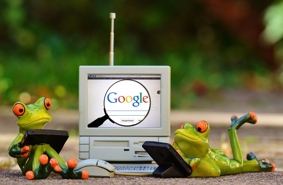 cute frogs on computer with google search