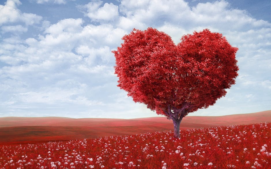 emotional landscape, red heart shaped tree
