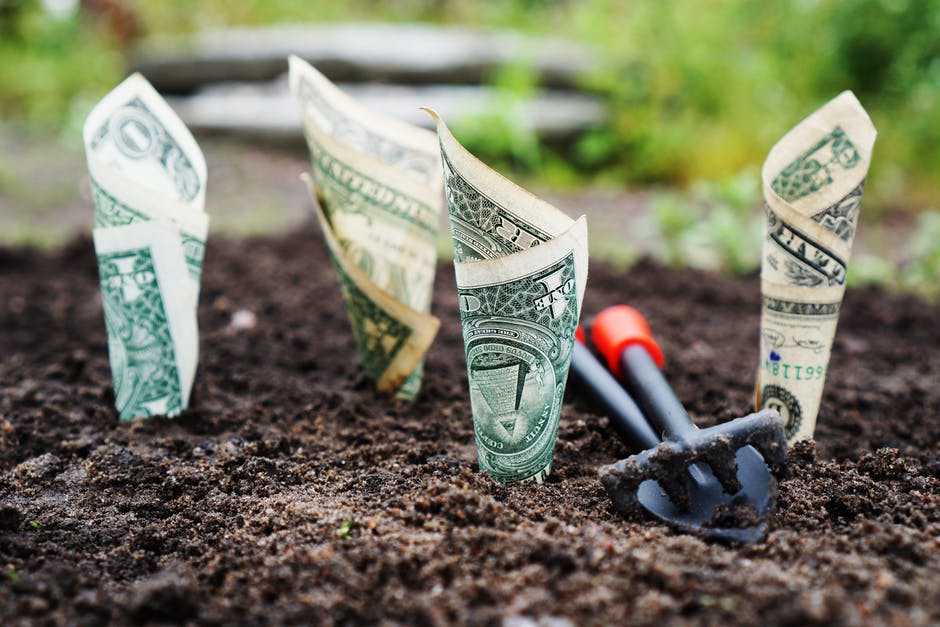 money planted in soil with hand rake