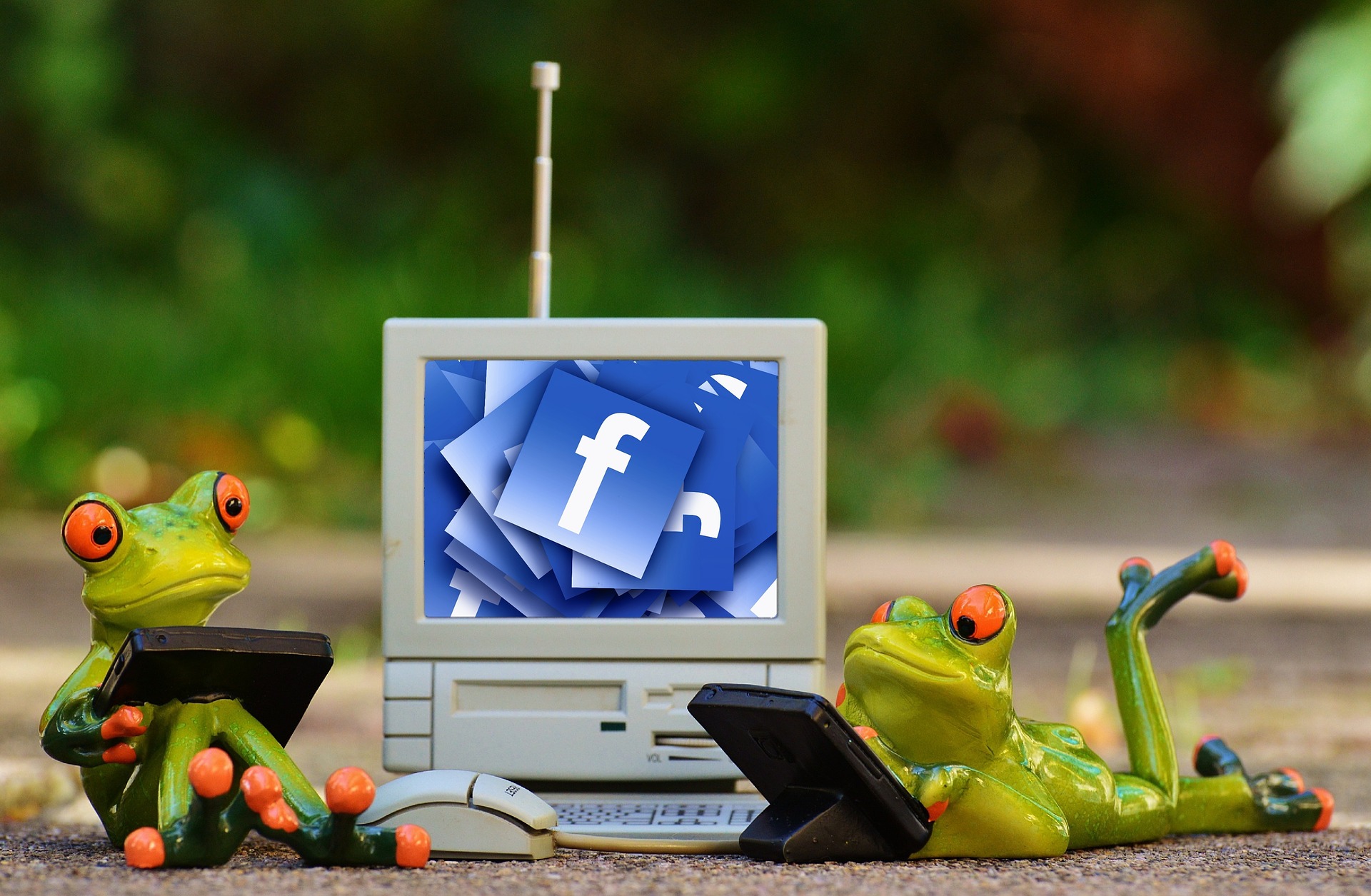 frog figurines on vintage computer with Facebook on screen