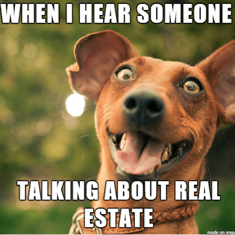 Real estate memes can be more than just a good time. Done right, they can even be part of your lead generation strategy.