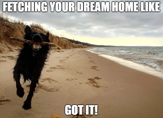 dog running on beach with stick in mouth fetching dream home real estate meme