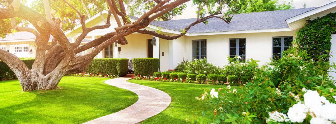Help your sellers understand the importance of improving the exterior of their home and provide a list of curb appeal ideas so their listing can attract more buyers.